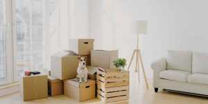 AChecklistForMovingOutOfStateMovingToAnotherState Speedy Move residential fast moving moving movers foreman